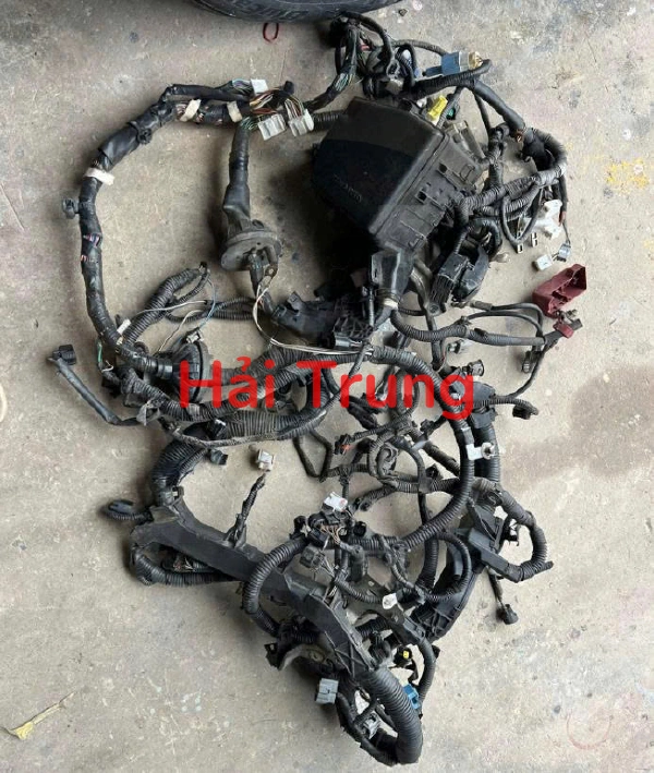 Bộ dây điện động cơ, dây điện cánh cửa Toyota Vios Tháo Xe