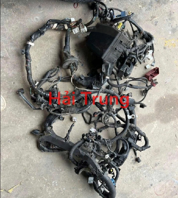 Bộ dây điện động cơ Toyota Vios 2019 2020 Tháo Xe